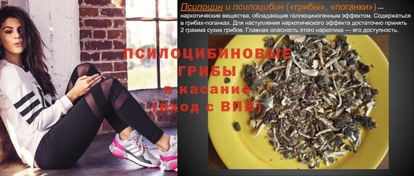 jwh Абаза