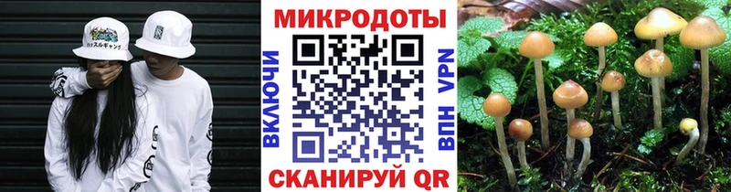 hydra как войти  Северодвинск  Псилоцибиновые грибы Psilocybine cubensis  дарнет шоп 